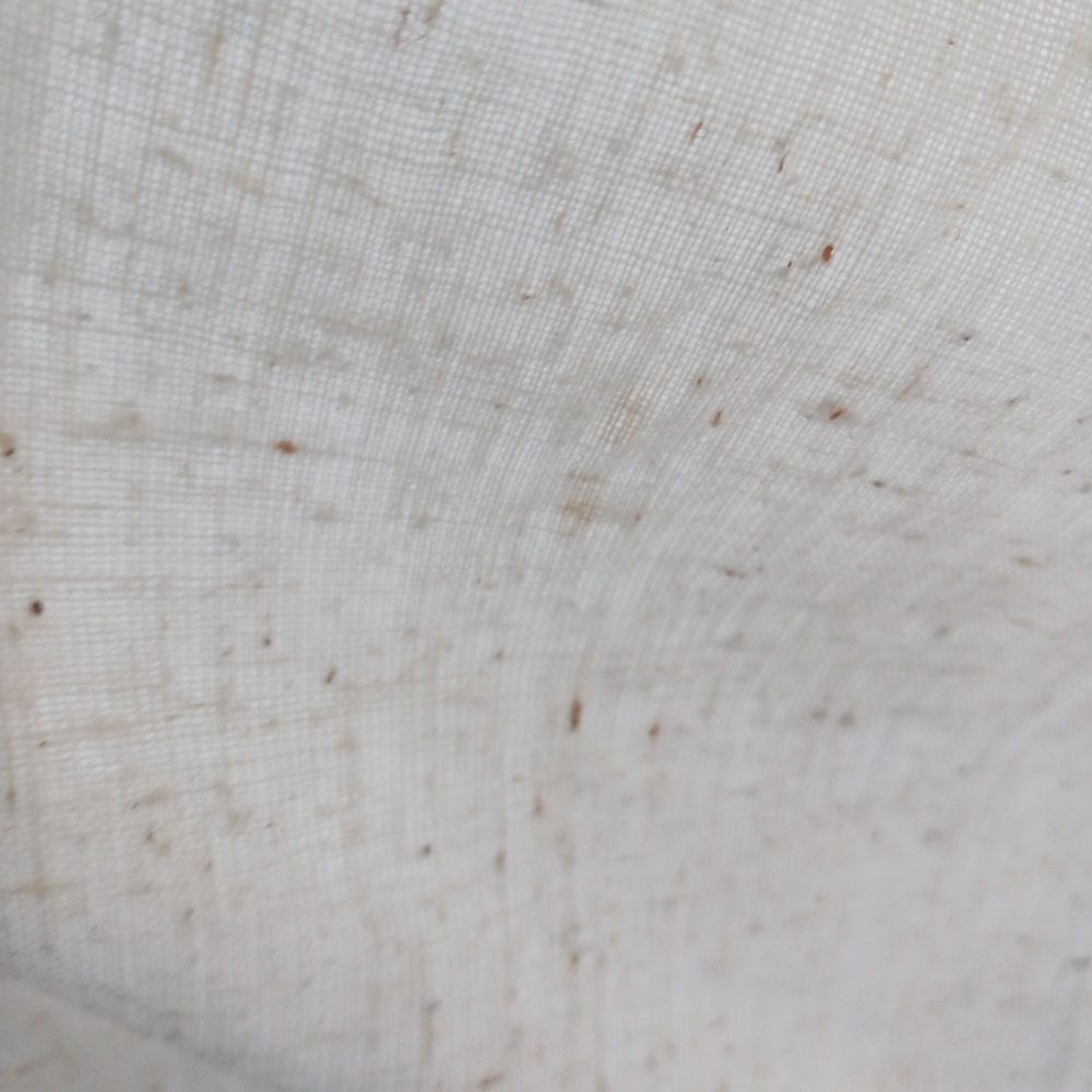 Cream Long Sleeve Maxi Dress with Red Trim - Picture 15 of 15